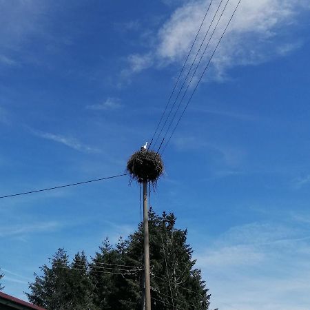 Schwarzwald Appartement Steinen  Eksteriør billede