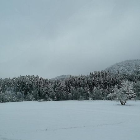 Schwarzwald Appartement Steinen  Eksteriør billede
