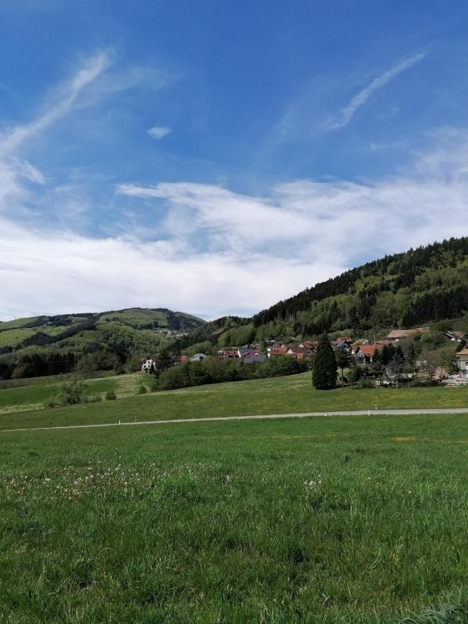 Schwarzwald Appartement Steinen  Eksteriør billede